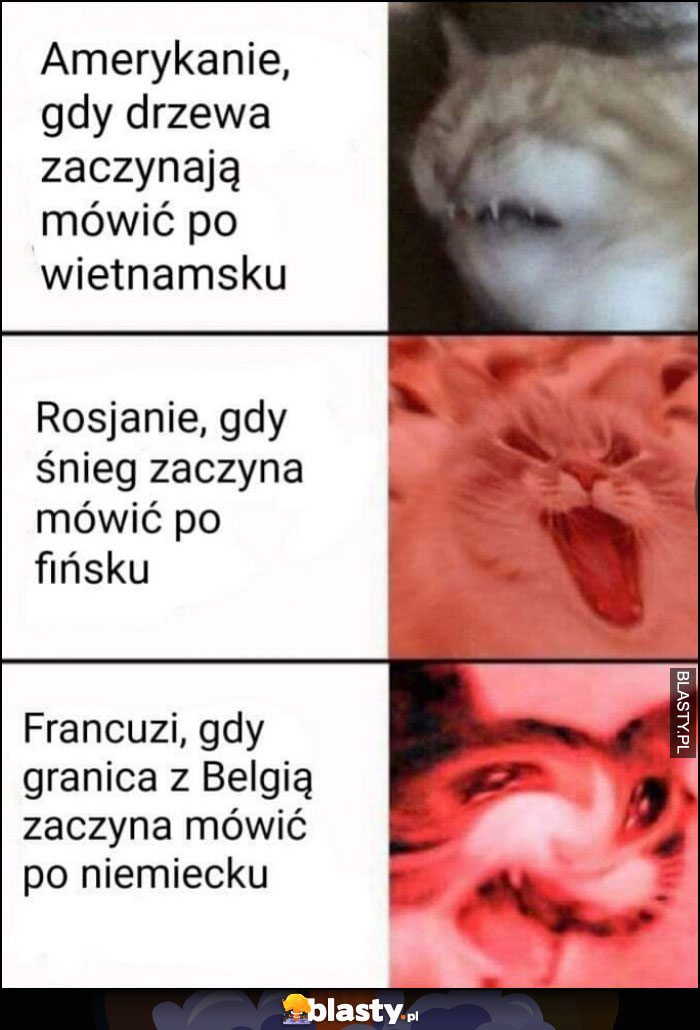 II wojna światowa