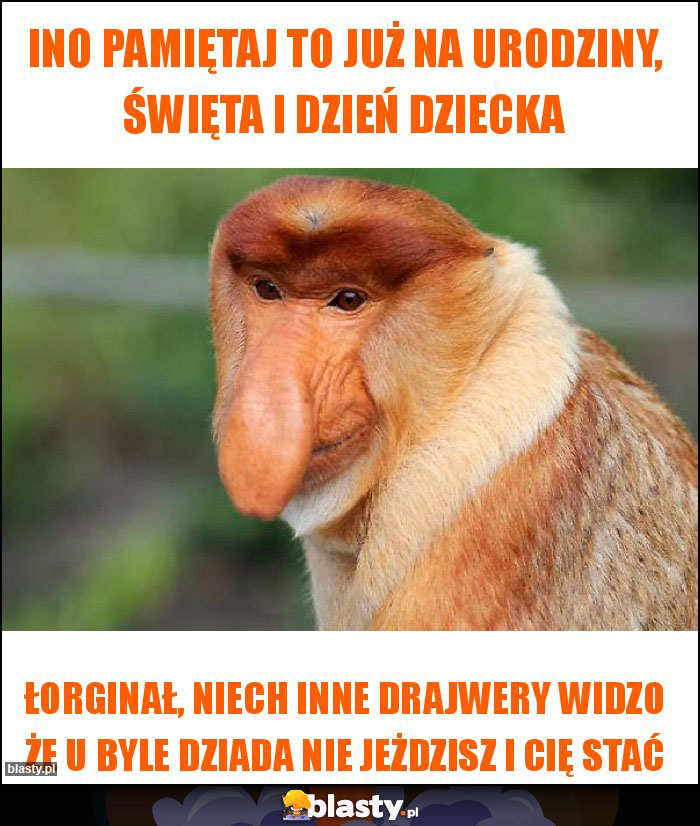 Ino pamiętaj to już na urodziny, święta i dzień dziecka Ino pamiętaj to już na urodziny, święta i dzień dziecka