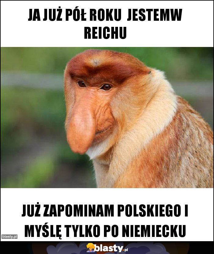Ja już pół roku jestemw reichu Ja już pół roku jestemw reichu