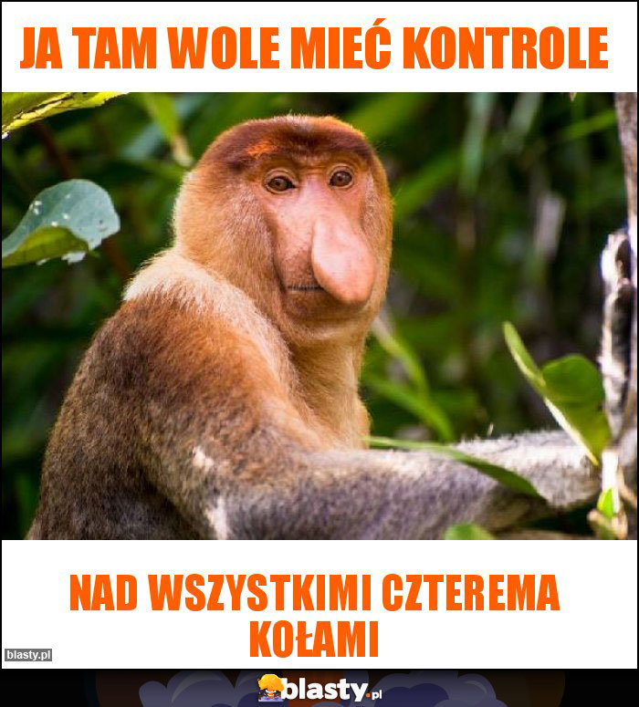 ja tam wole mieć kontrole ja tam wole mieć kontrole