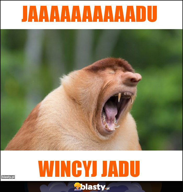 JAaaaaaaaaadu