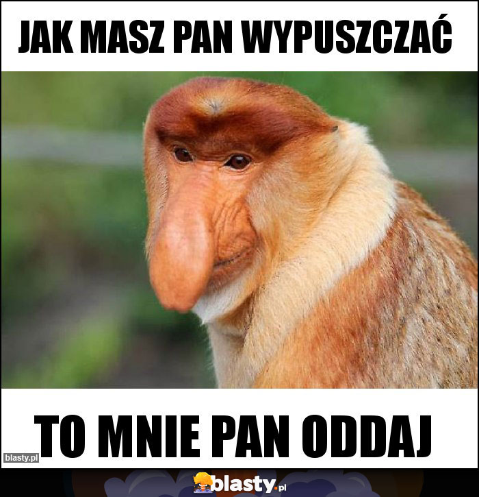 Jak masz Pan wypuszczać Jak masz Pan wypuszczać