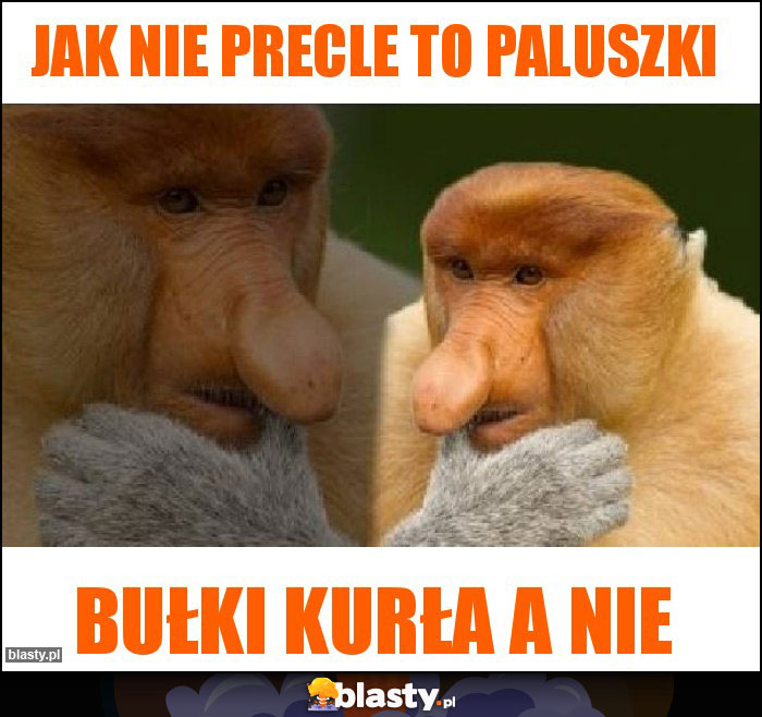 Jak nie precle to paluszki Jak nie precle to paluszki
