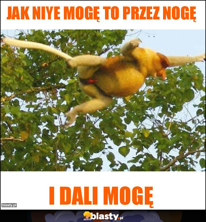 Jak niye mogę to przez nogę Jak niye mogę to przez nogę