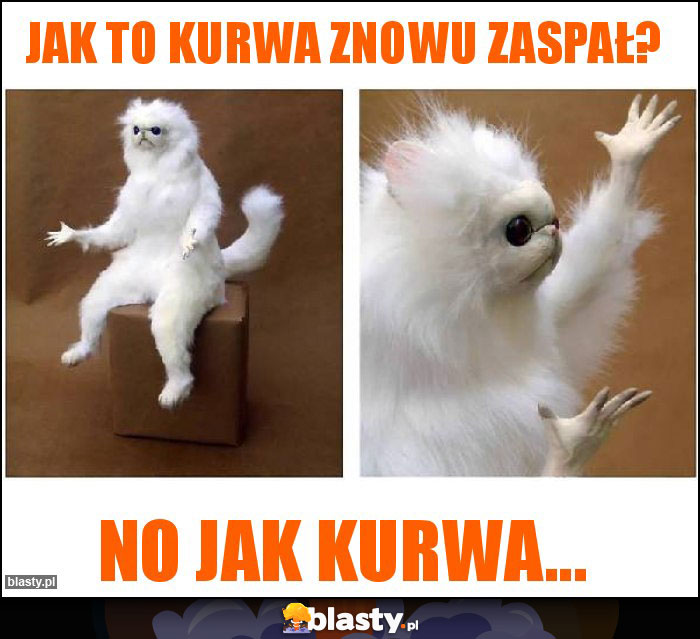 Jak to kurwa znowu zaspał? Jak to kurwa znowu zaspał?