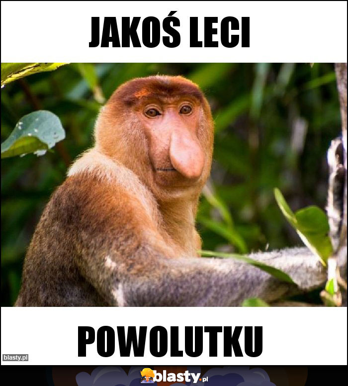Jakoś leci Jakoś leci