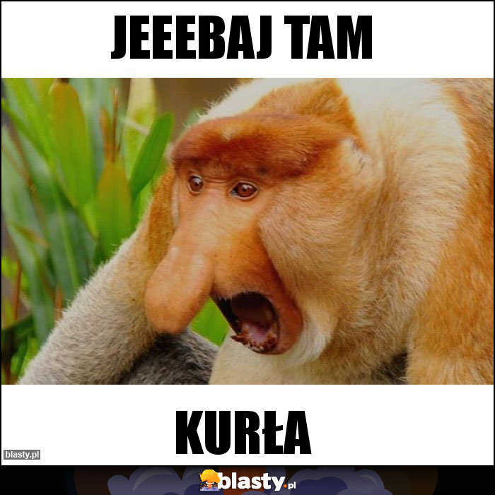 Jeeebaj tam Jeeebaj tam