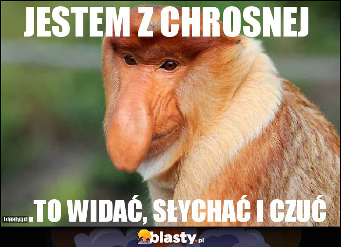 jestem z chrosnej jestem z chrosnej