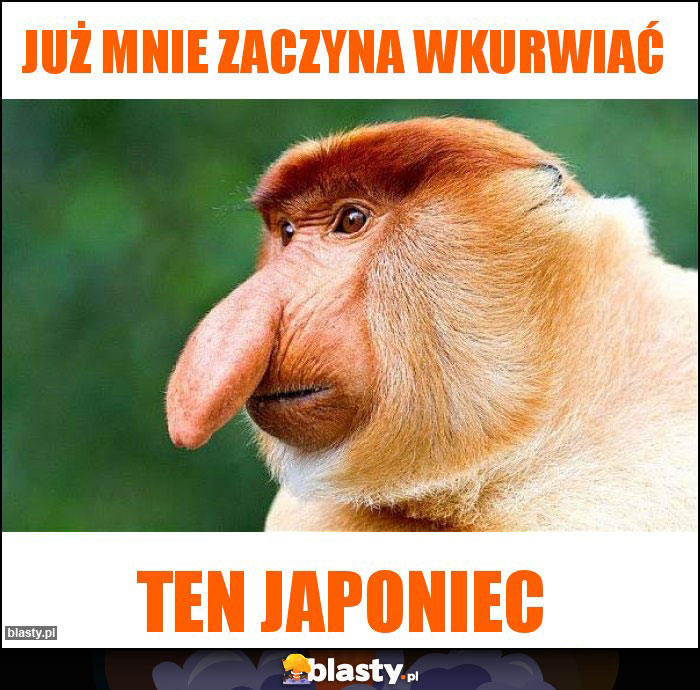 Już mnie zaczyna wkurwiać Już mnie zaczyna wkurwiać