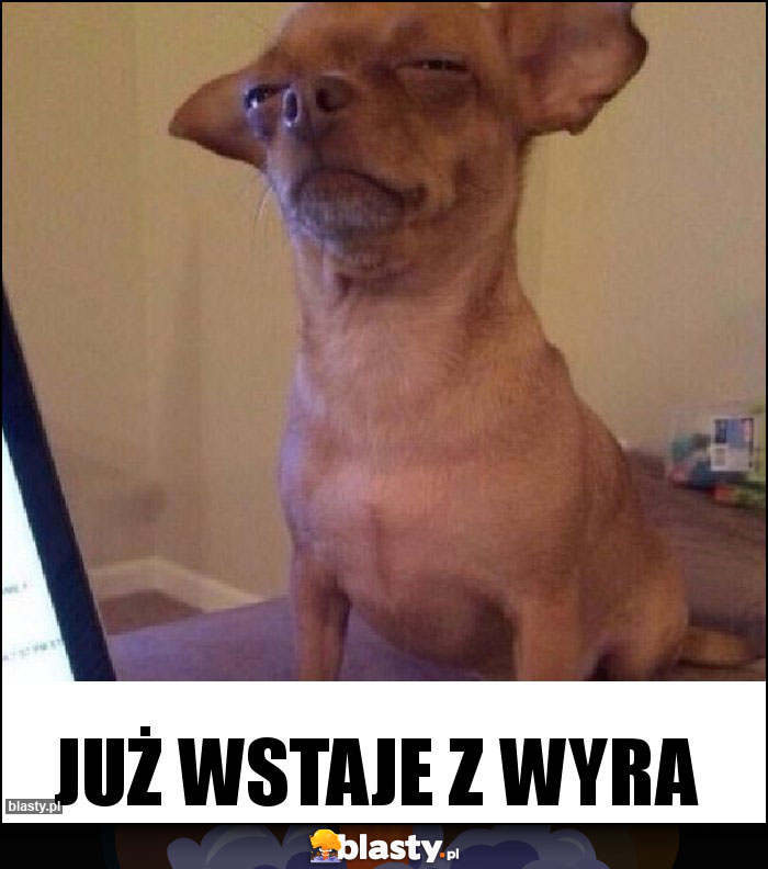 Już wstaje z wyra Już wstaje z wyra