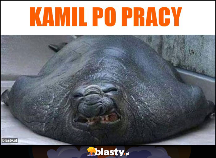 Kamil po pracy Kamil po pracy