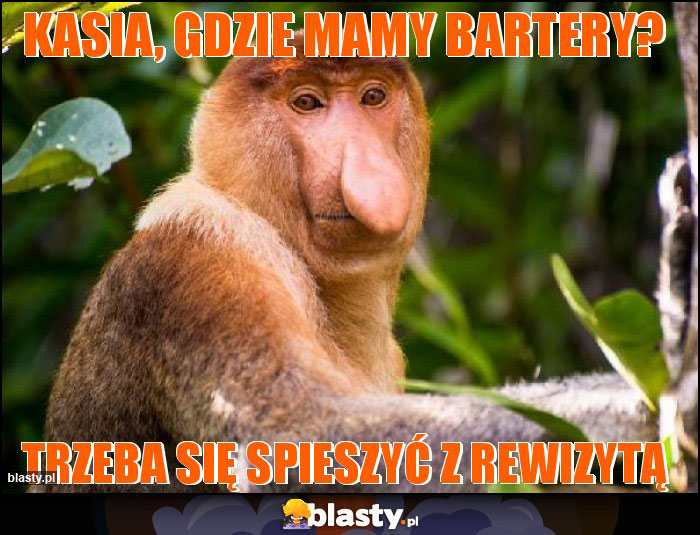 KASIA, gdzie mamy bartery? KASIA, gdzie mamy bartery?