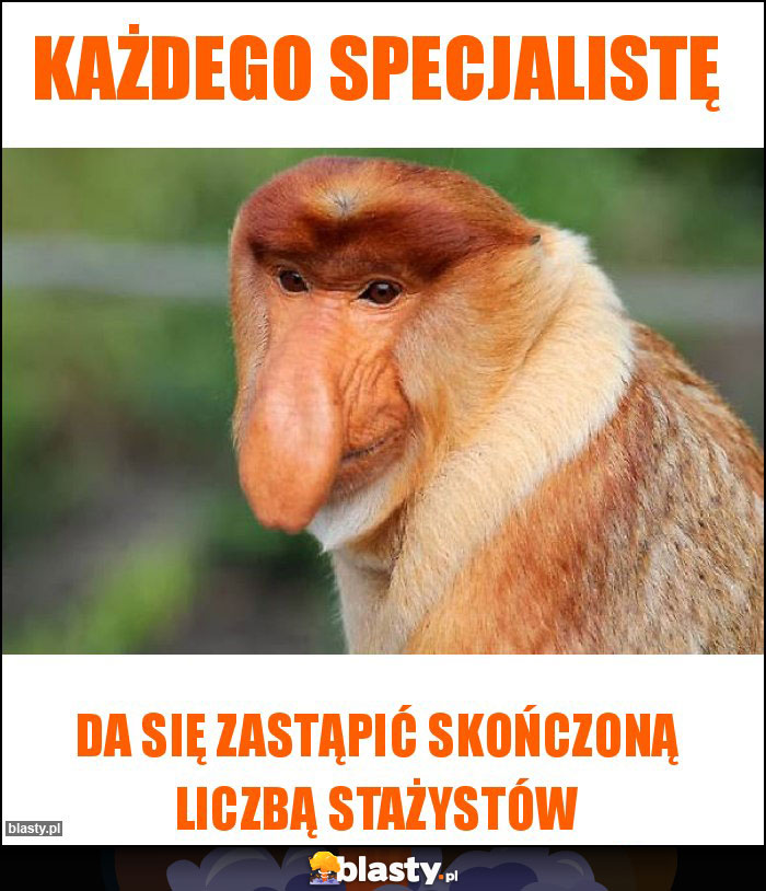 każdego specjalistę