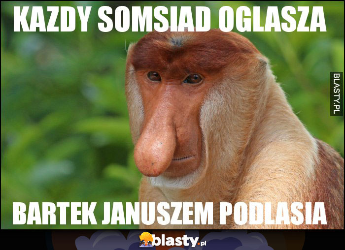 KAZDY SOMSIAD OGLASZA KAZDY SOMSIAD OGLASZA