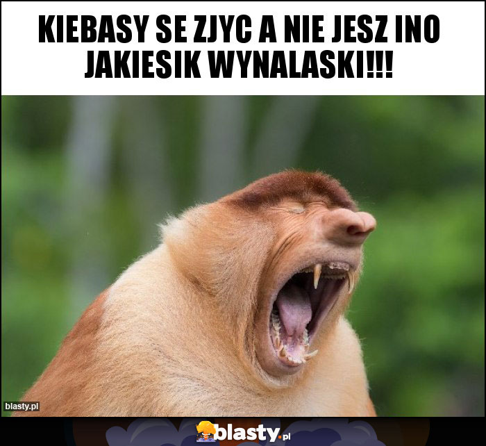 Kiebasy se zjyc a nie jesz ino jakiesik wynalaski!!! Kiebasy se zjyc a nie jesz ino jakiesik wynalaski!!!