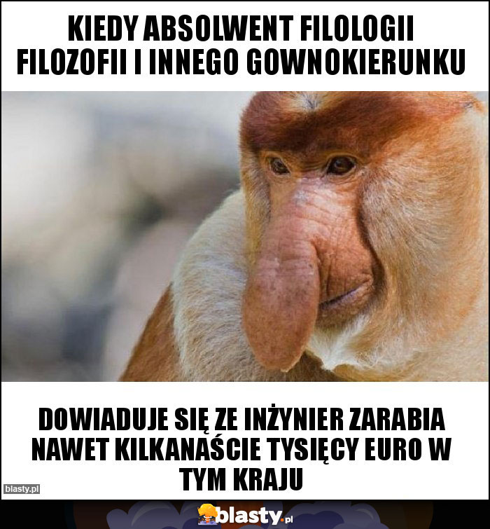 Kiedy absolwent filologii filozofii i innego gownokierunku Kiedy absolwent filologii filozofii i innego gownokierunku