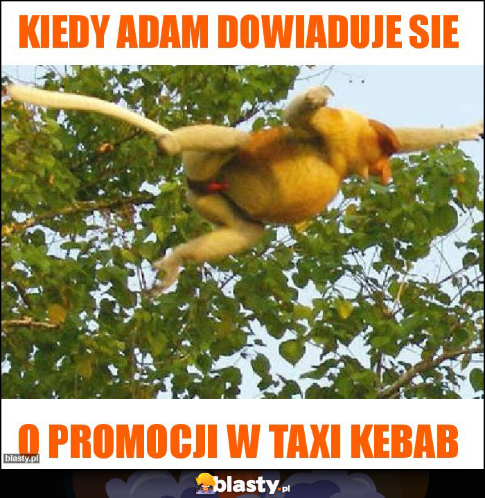 Kiedy Adam dowiaduje sie Kiedy Adam dowiaduje sie