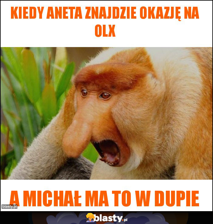 Kiedy aneta znajdzie okazję na olx Kiedy aneta znajdzie okazję na olx
