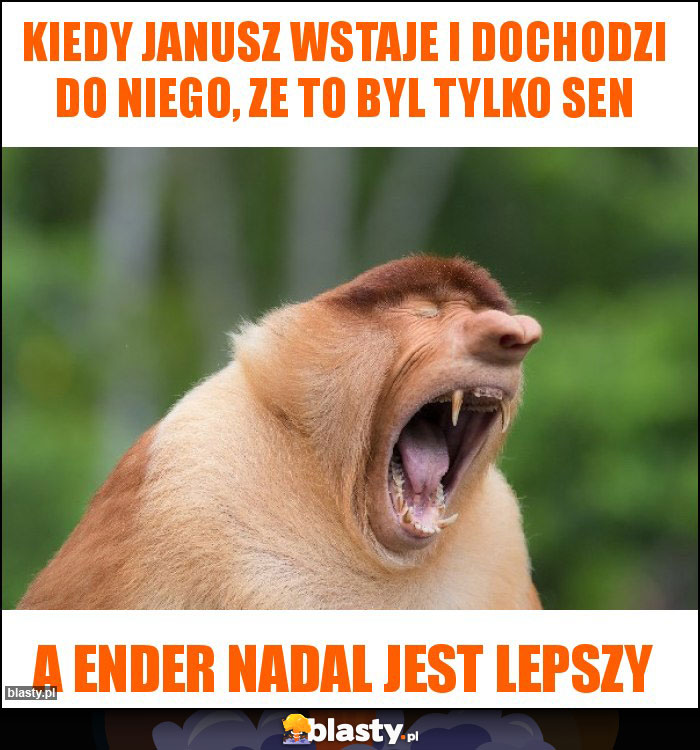 Kiedy janusz wstaje i dochodzi do niego, ze to byl tylko sen Kiedy janusz wstaje i dochodzi do niego, ze to byl tylko sen