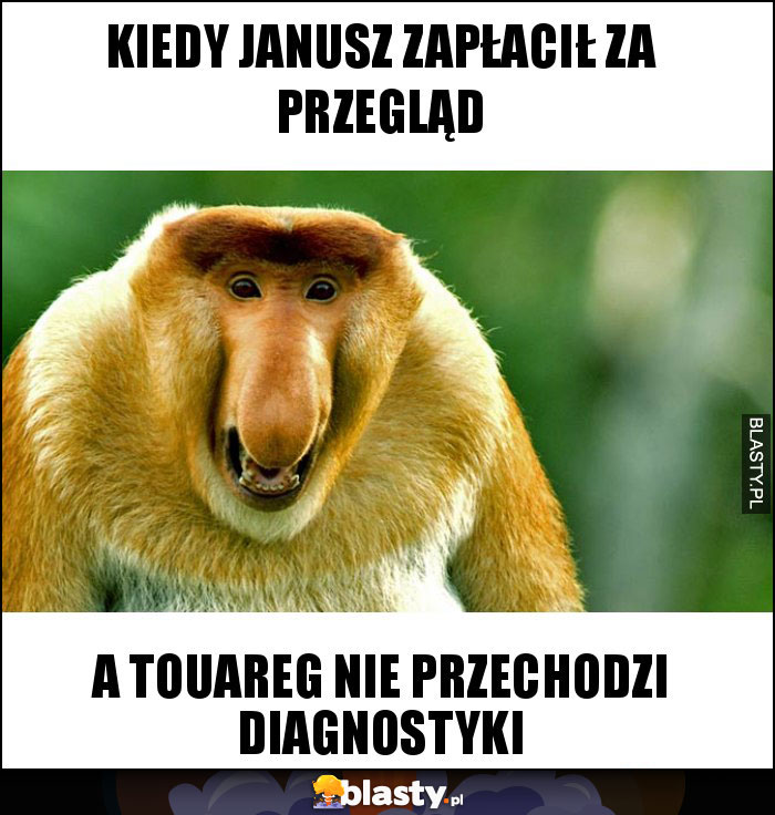 Kiedy Janusz zapłacił za przegląd Kiedy Janusz zapłacił za przegląd