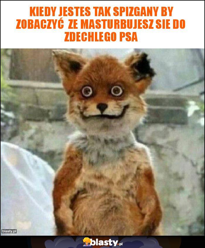 Kiedy jestes tak spizgany by zobaczyć ze masturbujesz sie do zdechlego psa Kiedy jestes tak spizgany by zobaczyć ze masturbujesz sie do zdechlego psa