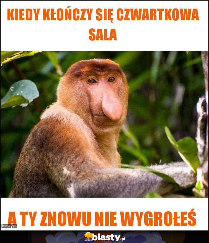 Kiedy kłończy się czwartkowa sala Kiedy kłończy się czwartkowa sala