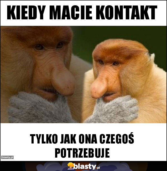 KIEDY MACIE KONTAKT KIEDY MACIE KONTAKT