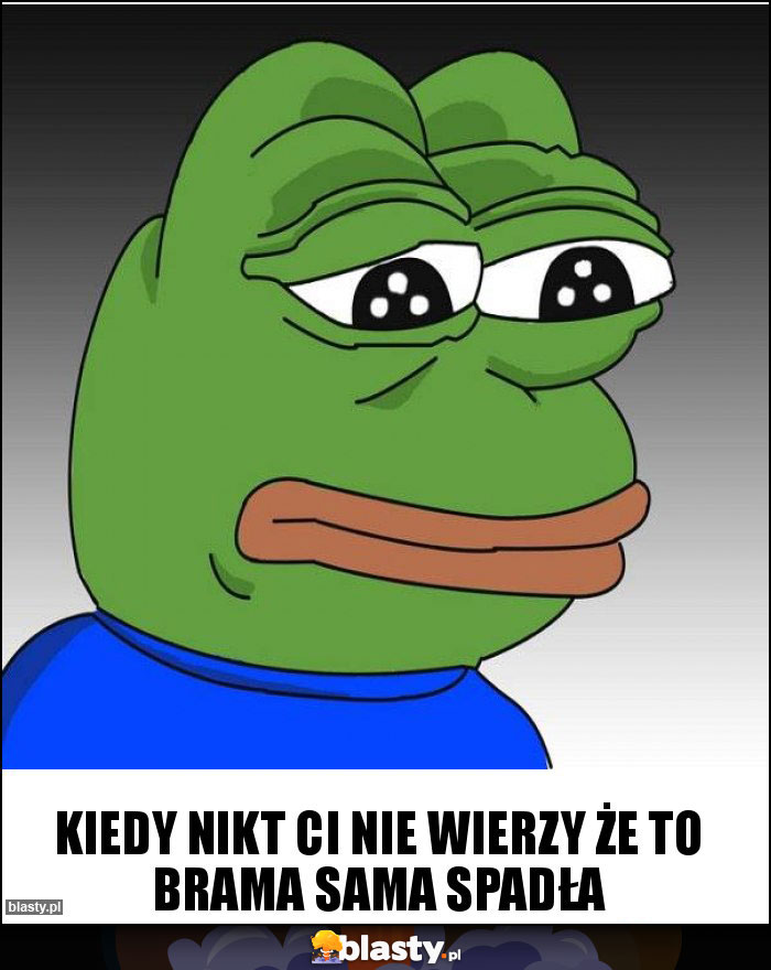 Kiedy nikt ci nie wierzy że to brama sama spadła