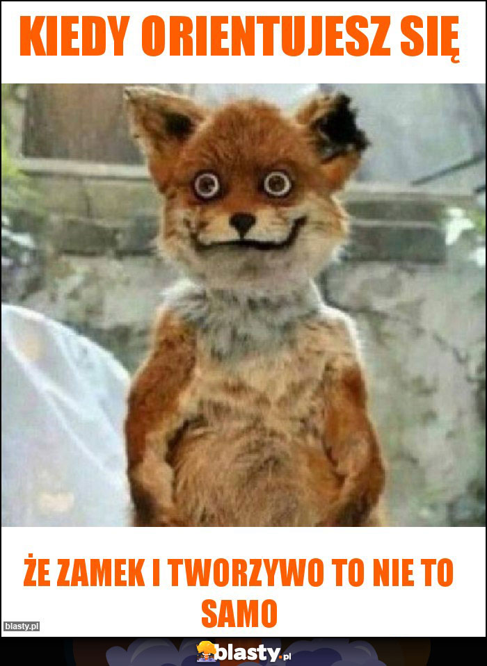 KIEDY ORIENTUJESZ SIĘ KIEDY ORIENTUJESZ SIĘ