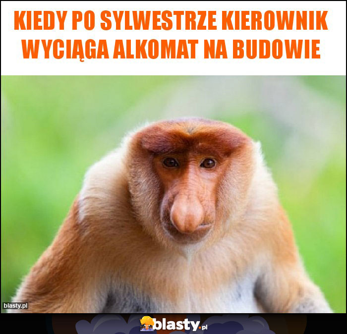 Kiedy po sylwestrze kierownik wyciąga alkomat na budowie Kiedy po sylwestrze kierownik wyciąga alkomat na budowie