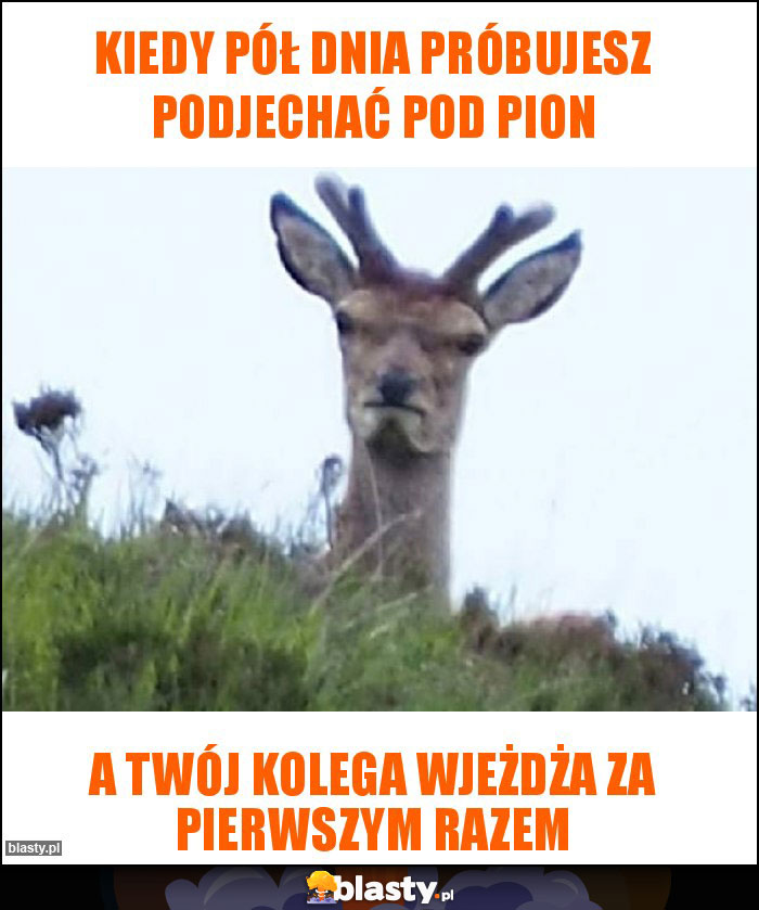 Kiedy pół dnia próbujesz podjechać pod pion Kiedy pół dnia próbujesz podjechać pod pion
