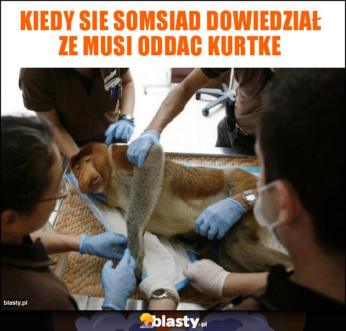 Kiedy sie somsiad dowiedział ze musi oddac kurtke Kiedy sie somsiad dowiedział ze musi oddac kurtke