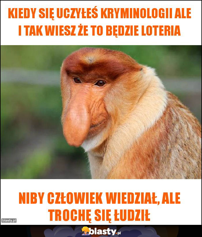Kiedy się uczyłeś kryminologii ale i tak wiesz że to będzie loteria Kiedy się uczyłeś kryminologii ale i tak wiesz że to będzie loteria