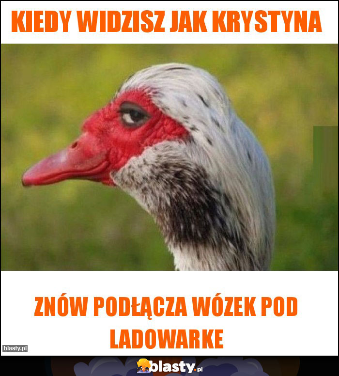 Kiedy widzisz jak Krystyna Kiedy widzisz jak Krystyna
