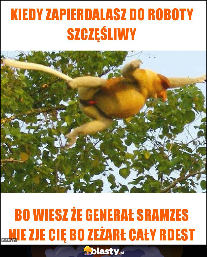Kiedy zapierdalasz do roboty szczęśliwy Kiedy zapierdalasz do roboty szczęśliwy