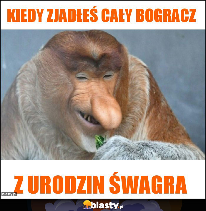 Kiedy zjadłeś cały bogracz Kiedy zjadłeś cały bogracz