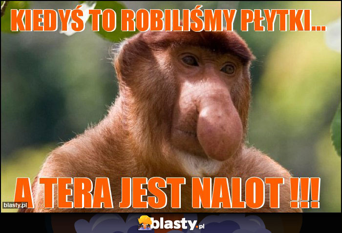 Kiedyś to robiliśmy płytki... Kiedyś to robiliśmy płytki...