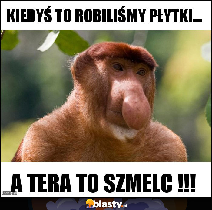 kiedyś to robiliśmy płytki... kiedyś to robiliśmy płytki...