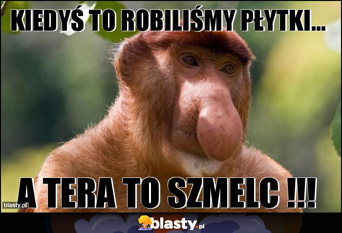 kiedyś to robiliśmy płytki... kiedyś to robiliśmy płytki...