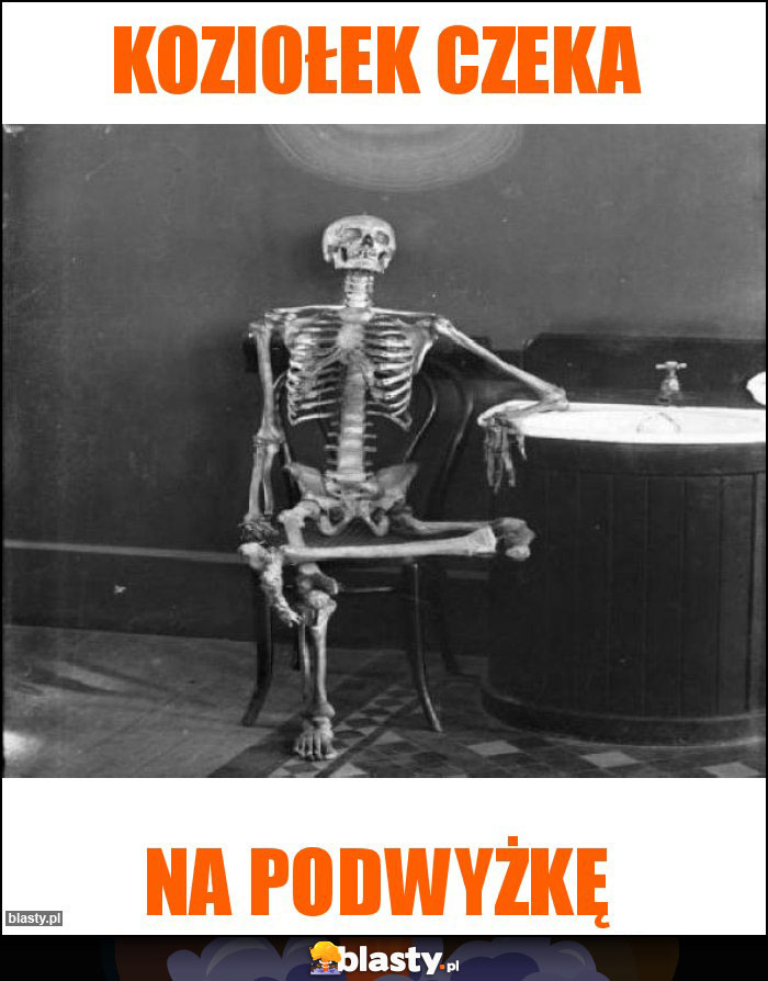 Koziołek czeka Koziołek czeka