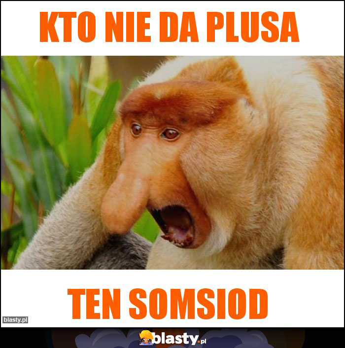 Kto nie da plusa