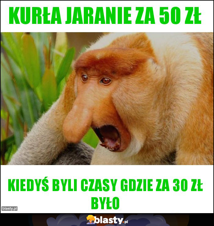 Kurła jaranie za 50 zł Kurła jaranie za 50 zł