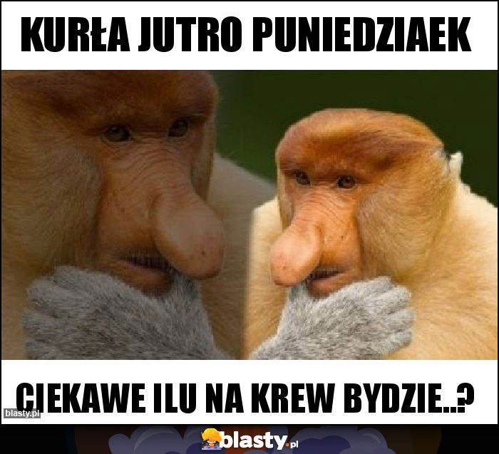 Kurła jutro puniedziaek Kurła jutro puniedziaek