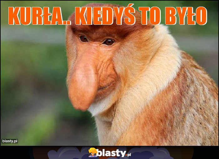 Kurła.. kiedyś to było Kurła.. kiedyś to było