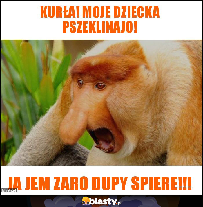 Kurła! Moje dziecka pszeklinajo! Kurła! Moje dziecka pszeklinajo!