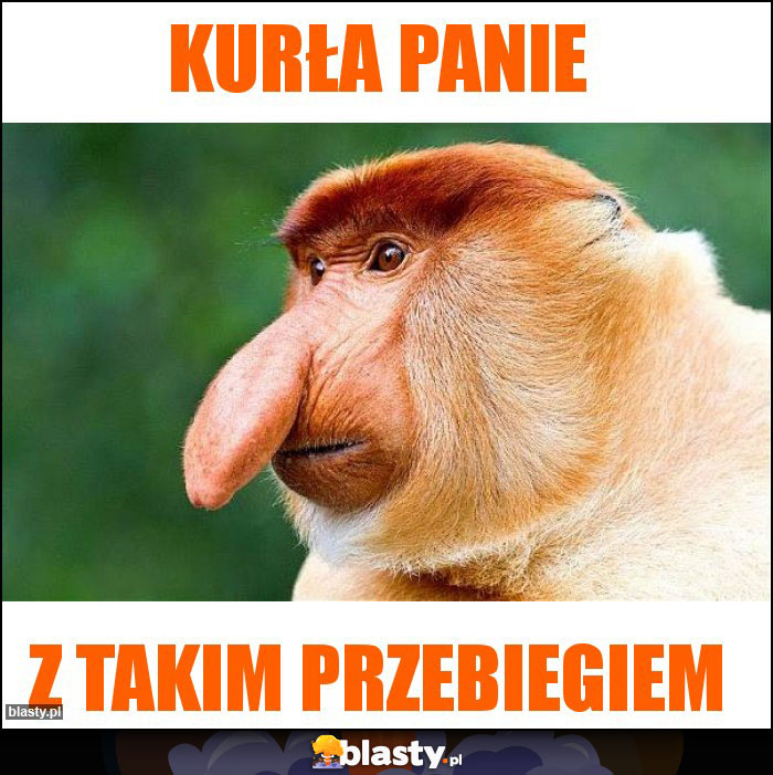 Kurła panie Kurła panie