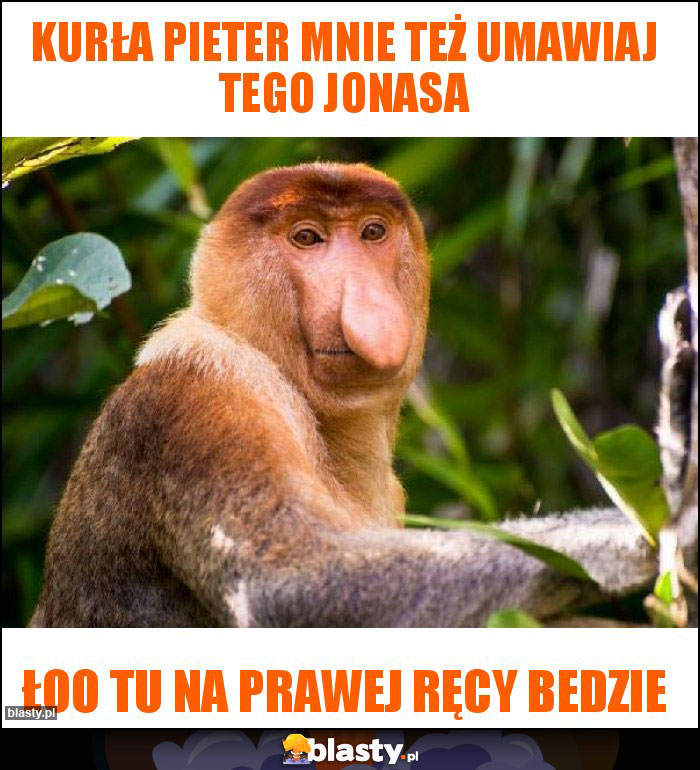 Kurła pieter mnie też umawiaj tego jonasa Kurła pieter mnie też umawiaj tego jonasa