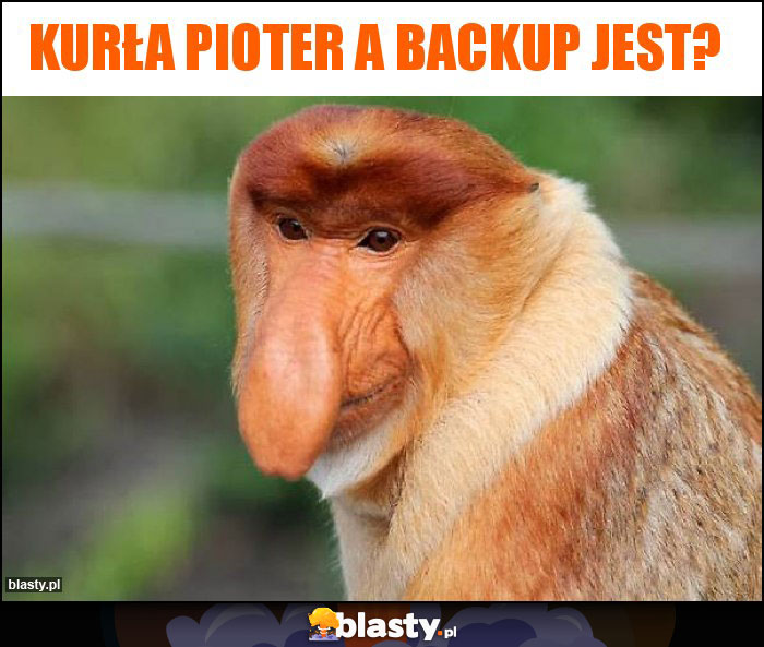 Kurła Pioter a backup jest? Kurła Pioter a backup jest?