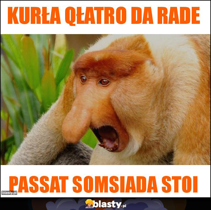 Kurła Qłatro da rade Kurła Qłatro da rade