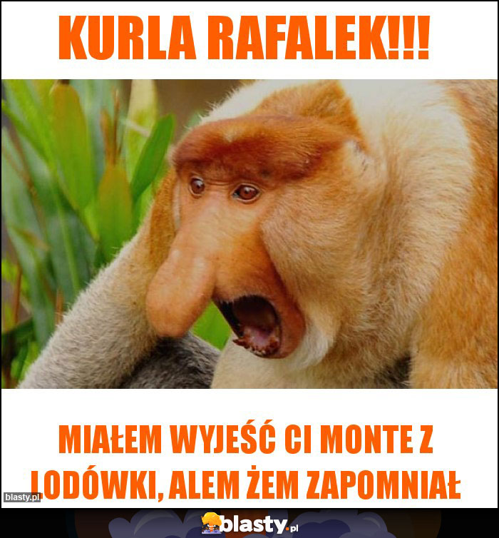 Kurla Rafalek!!! Kurla Rafalek!!!